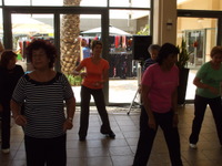 ����� ���� - ��� ����� ������� - ��� 2009 