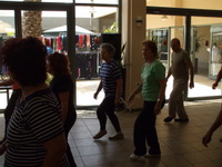 ����� ���� - ��� ����� ������� - ��� 2009 