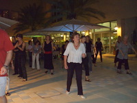 ����� ���� - ��� ������� ������� - ������ 2008 