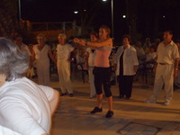 ����� ���� - ��� ������� - �� ��� �� ���� ������ - 2008 