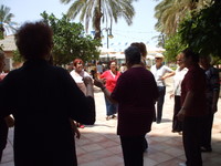 ����� ������� - ��� ������ - ��� 2009 