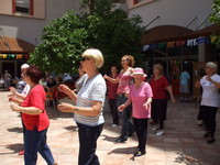 ����� ������� - ��� ������ - ��� 2009 