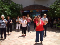 ����� ������� - ��� ������ - ��� 2009 