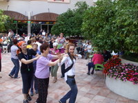 ����� ������� - ����� ���� - ��� 2009 