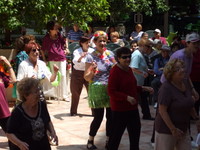 ����� ������� - ����� ���� - ��� 2009 