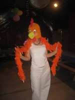 �� ���� - ����� ����� - 2008 