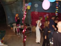 �� ���� - ����� ����� - 2008 