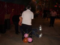 �� ���� - ����� ����� - 2008 