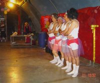 �� ���� - ����� ����� - 2008 