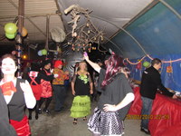 �� ���� - ����� ����� - 2010 