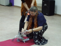 ��� ��� ����� - ����� ����� 2009 