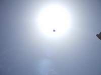 ���� ��� ���� - ������ - 2009 