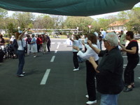 ���� ��� ���� - ������ - 2009 